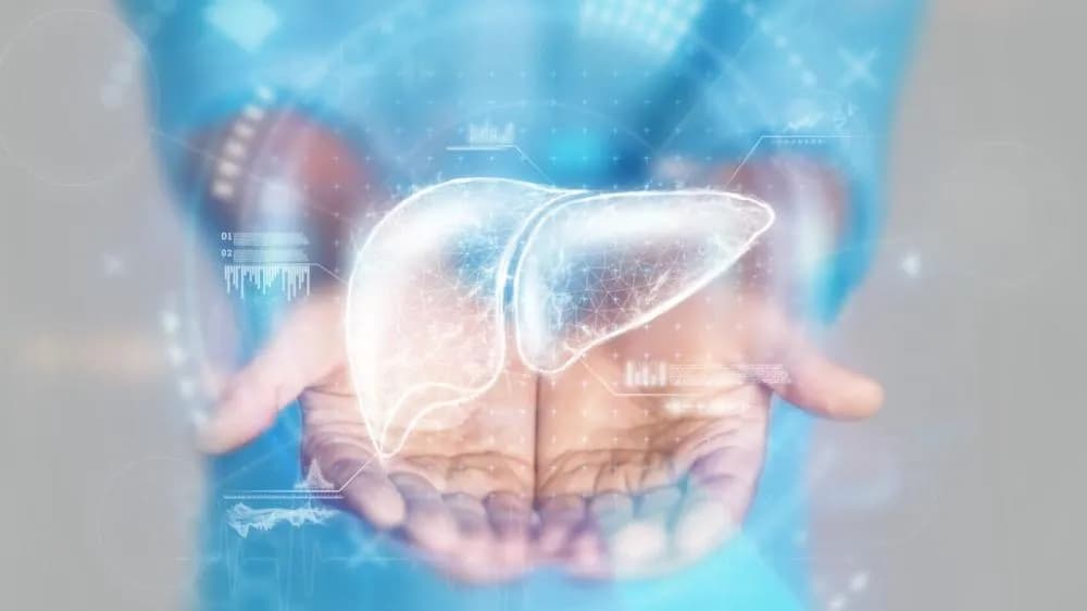 護肝保健食品推薦|四大護肝成分解析與選購要點完整指南