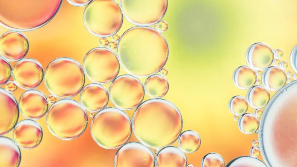 酵素功效有哪些?完整解析酵素正確吃法、食用時機及副作用