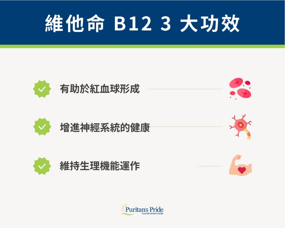 （二）維他命B12功效有哪些？