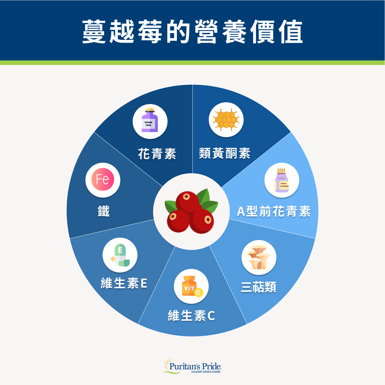 （一）了解蔓越莓營養價值