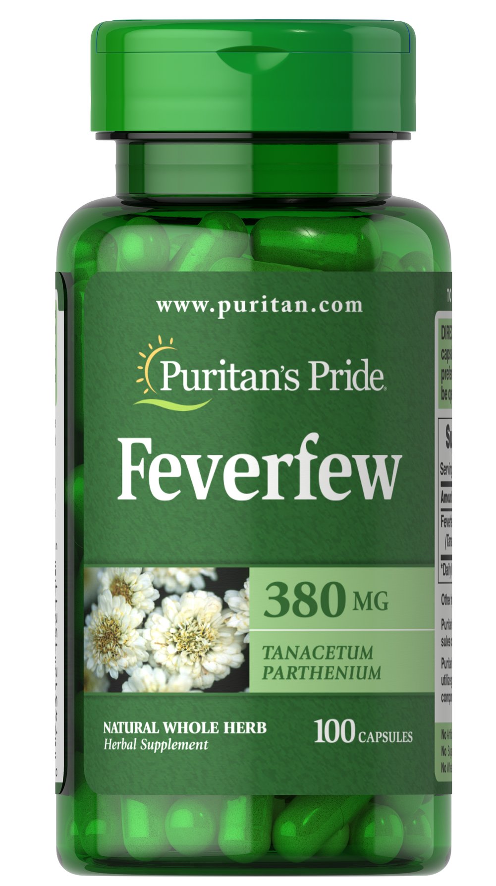 Feverfew 380mg 白菊