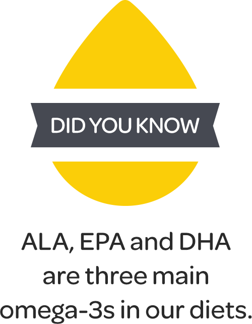 Icon - Did You Know. There are three main omega-3s in our diets